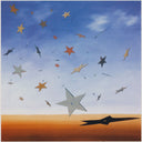 Shooting Stars, 2007