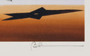 Shooting Stars, 2007