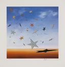 Shooting Stars, 2007