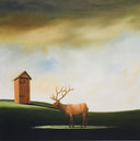 Deer John, 2007