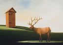 Deer John, 2007
