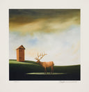 Deer John, 2007