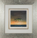 Holy Mackerel, 2007