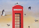 The Bird Call, 2007