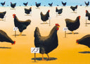 The Pecking Order, 2007