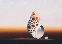 The Shell Game, 2007
