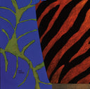 Orange Red Zebra Oddity, 2013