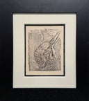 The Lobster (Histoire Naturelle - Textes de Buffon, B.352), 1942
