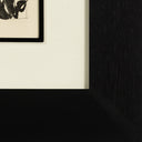 The Spider (Histoire Naturelle - Textes de Buffon, B.353), 1942