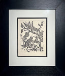 The Grasshopper (Histoire Naturelle - Textes de Buffon, B.358), 1942