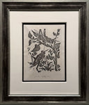 The Grasshopper (Histoire Naturelle - Textes de Buffon, B.358), 1942
