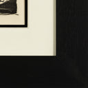 The Frog (Histoire Naturelle - Textes de Buffon, B.357), 1942