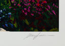 After the Storm, 1998