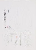 The Arrival of Iseult (Tristan and Iseult, Plate G), 1970