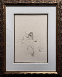 Brother Ogrin, the Hermit (Tristan and Iseult, Plate K), 1970