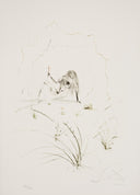 Brother Ogrin, the Hermit (Tristan and Iseult, Plate K), 1970