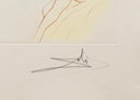 The King's Train (Song of Songs of Solomon, Plate H), 1971 by Salvador Dalí