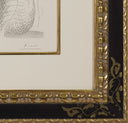 Seated Nude (Vollard Suite, B.141), 1931