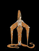 Starfish by Erté