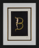 Letter B, 1976