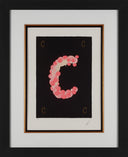 Letter C, 1976