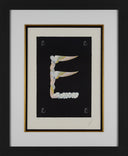 Letter E, 1976