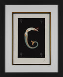 Letter G, 1976