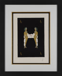 Letter H, 1976