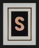 Letter S, 1976
