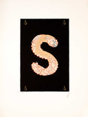 Letter S, 1976