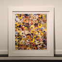 MGST, 1962-2011, 2011