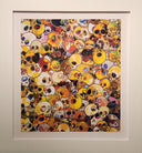 MGST, 1962-2011, 2011