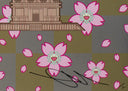 Maiko in Springtime Kyoto, 2024