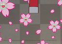Maiko of Kyoto, Cherry Blossoms on Red, 2024