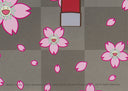 Maiko of Kyoto, Cherry Blossoms on Red, 2024