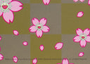 Maiko of Kyoto, Cherry Blossoms on Blue, 2024