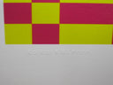 Murakami.Flower #8832 Vertigo Background, 2023
