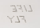 109 - Life Fly Lifes Flies (Leo Castelli 90th Birthday Portfolio), 1997