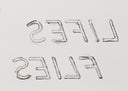 109 - Life Fly Lifes Flies (Leo Castelli 90th Birthday Portfolio), 1997
