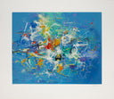 Cosmic Energy, 1988