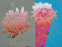 Kiku (FS.II.308), 1983 by Andy Warhol