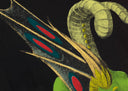 St. George and the Dragon (FS.II.324, Details of Renaissance Paintings), 1984