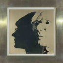 The Shadow (FS.II.269A), 1981 by Andy Warhol framed