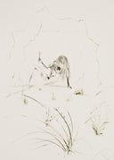 Brother Ogrin, the Hermit (Tristan and Iseult, Plate K), 1970