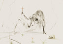 Brother Ogrin, the Hermit (Tristan and Iseult, Plate K), 1970