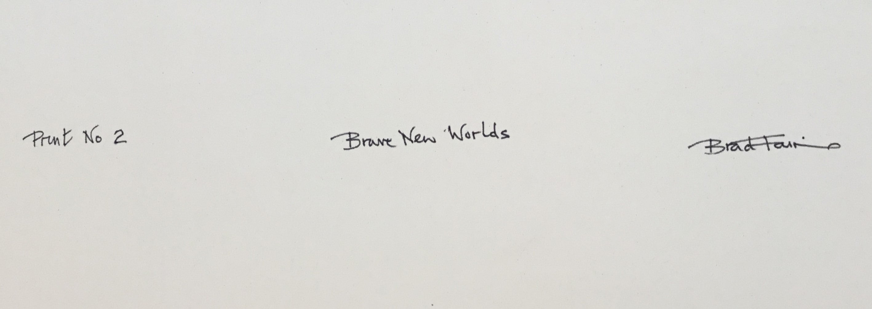 Brave New Worlds 2, 2024 by Brad Faine detail signature verso