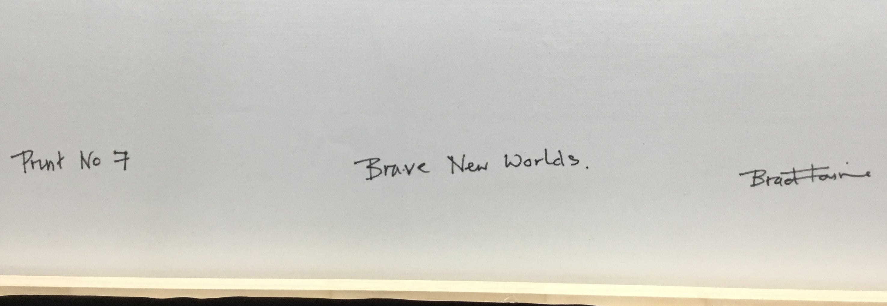 Brave New Worlds 7, 2024 by Brad Faine signature verso