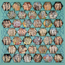 Censored Graces 8, 2018