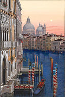 Santa Maria della Salute, 2008