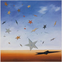 Shooting Stars, 2007